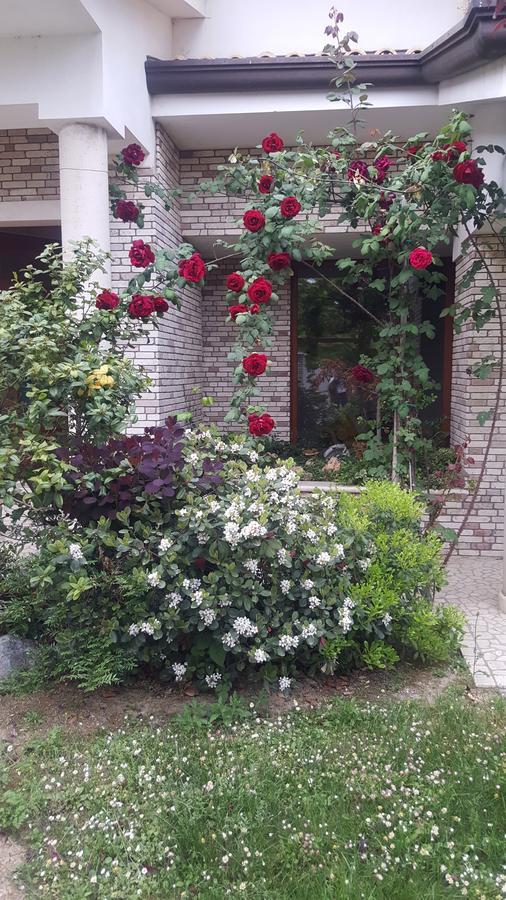 Villa Gioia Rooms 몬테그라나로 외부 사진